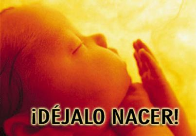 Pro vida - déjalo nacer - en contra del aborto la matanza de los indefensos