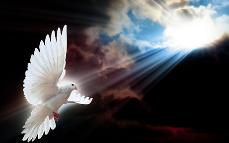 El Espíritu Santo viene en nuestra ayuda