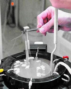 fecundación in vitro - Bioética