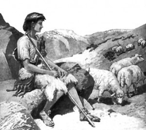 David Pastor con sus ovejas