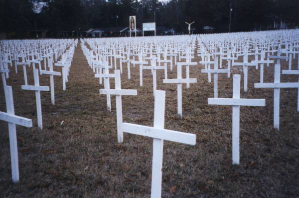 Cruces de un cementerio de abortados